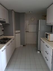 The Tanamera (D16), Condominium #148748382